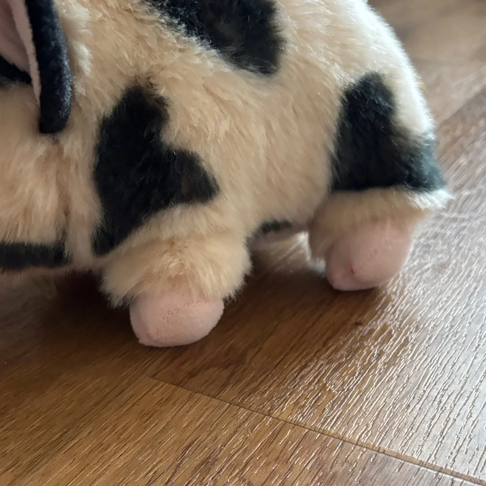 Charming & cute Plush Pig Stuff animal 😍Black and Cream